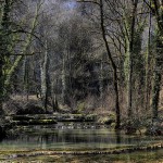 Above the Dard Waterfall