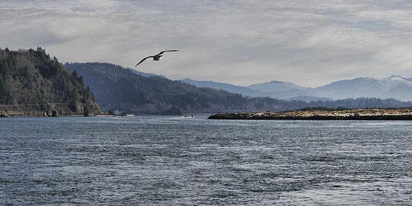 tillamook bay ii