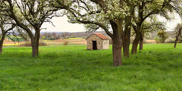 béthemont le verger des perruches – spring i